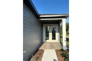 11177 GREEN CITRON ALLEY, WINTER GARDEN, FL 34787 - MLS#MFRS5131386