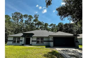 2585 Coachman Dr, DELTONA