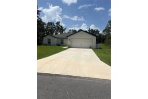 382 BOWFIN DRIVE, KISSIMMEE, FL 34759 - MLS#MFRS5131557