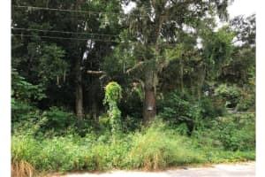 E 10TH ST, APOPKA, FL 32703 - MLS#MFRS5131736