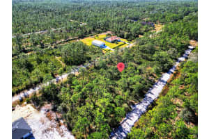 0 GALLARDIA DRIVE, INDIAN LAKE ESTATE, LAKE WALES, FL 33855 - MLS#MFRS5132037