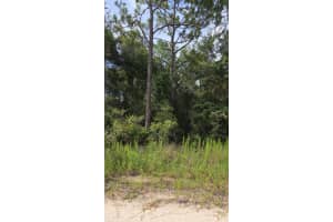 0 49TH PLACE, DUNNELLON, FL 34432 - MLS#MFRS5132220