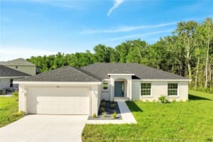 539 Viceroy Ct, KISSIMMEE