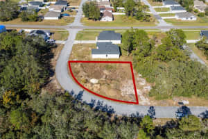 105 TENCH DRIVE, KISSIMMEE, FL 34759 - MLS#MFRS5132306