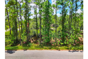 385 JACK WEISSER BOULEVARD, LAKE PLACID, FL 33852 Sold 09/08/25