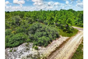 385 JACK WEISSER BOULEVARD, LAKE PLACID, FL 33852 Sold 09/08/25