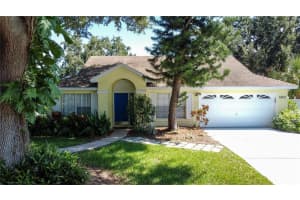 100 Sunridge Woods Ct, DAVENPORT
