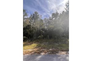 2426 SW 168 LOOP, OCALA, FL 34473 - MLS#MFRS5132507