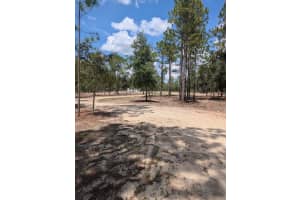 158 MELROSE LANDING BOULEVARD, HAWTHORNE, FL 32640 Sold 08/26/25