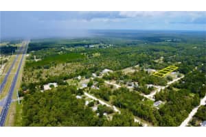 TBD 138 COURT, WILLISTON, FL 32696 - MLS#MFRS5132694