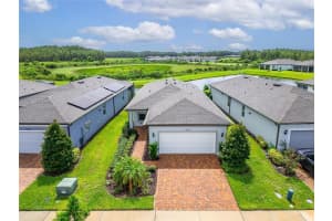5500 BLUE CRUSH BEND, LAND O LAKES, FL 34638 - MLS#MFRS5132707