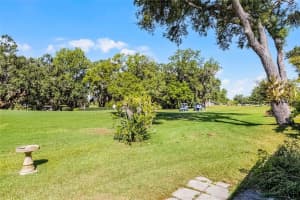 32537 OAK PARK DRIVE, LEESBURG, FL 34748 - MLS#MFRS5132745