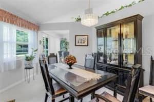 32537 OAK PARK DRIVE, LEESBURG, FL 34748 - MLS#MFRS5132745