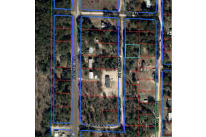 MLS# MFRS5132746, Williston, Florida 32696