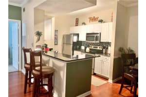 14205 FALLS CHURCH DRIVE, ORLANDO, FL 32837 - MLS#MFRS5132775