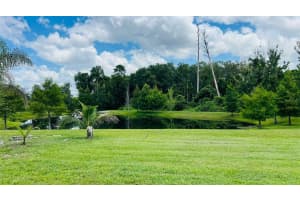 1257 CASTLEVECCHIO LOOP, ORLANDO, FL 32825 - MLS#MFRS5132784