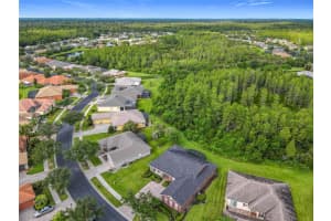 615 DAVINCI PASS, KISSIMMEE, FL 34759 - MLS#MFRS5133005