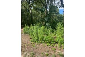 0 NW 7TH STREET, OCALA, FL 34482 - MLS#MFRS5133194