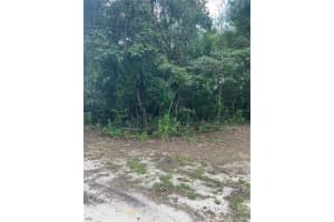 0 NW 7TH STREET, OCALA, FL 34482 - MLS#MFRS5133194