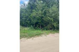 0 NW 57 TH AVENUE, OCALA, FL 34482 - MLS#MFRS5133198