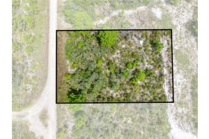 1524 BARN OWL STREET, SEBRING, FL 33870 - MLS#MFRS5133233