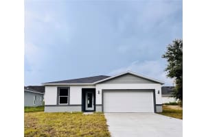1313 Hillsborough Ln, KISSIMMEE