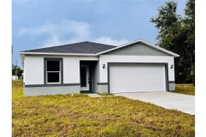 1313 HILLSBOROUGH LANE, KISSIMMEE, FL 34759 - MLS#MFRS5133287