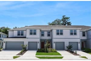 2731 Fetching Trl, DAVENPORT
