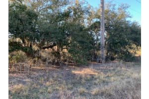 3288 MASTERPIECE ROAD, LAKE WALES, FL 33898 - MLS#MFRS5133337