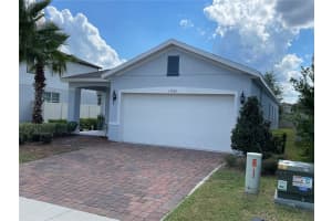 17401 PAINTED LEAF WAY, CLERMONT, FL 34714 - MLS#MFRS5133351