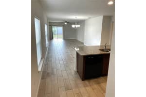 17401 PAINTED LEAF WAY, CLERMONT, FL 34714 - MLS#MFRS5133351