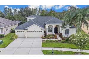 2919 Marble Crest Dr, LAND O LAKES