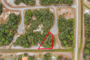 1209 VERNON WAY, KISSIMMEE, FL 34759 - MLS#MFRS5133377