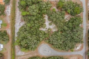 1209 VERNON WAY, KISSIMMEE, FL 34759 - MLS#MFRS5133377