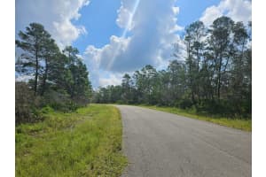 6834 VIRTUDES STREET, SEBRING, FL 33872 - MLS#MFRS5133532