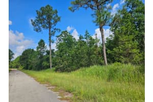 6834 VIRTUDES STREET, SEBRING, FL 33872 - MLS#MFRS5133532