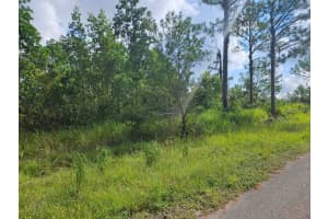 6840 VIRTUDES STREET, SEBRING, FL 33872 - MLS#MFRS5133539
