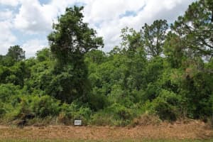 7045 CORTEZ BOULEVARD, SEBRING, FL 33872 - MLS#MFRS5133548