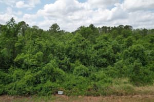 7037 CORTEZ BOULEVARD, SEBRING, FL 33872 - MLS#MFRS5133550
