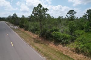 7031 CORTEZ BOULEVARD, SEBRING, FL 33872 - MLS#MFRS5133551