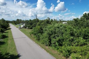 219 BOREN AVENUE, LAKE PLACID, FL 33852 - MLS#MFRS5133553