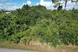 219 BOREN AVENUE, LAKE PLACID, FL 33852 - MLS#MFRS5133553