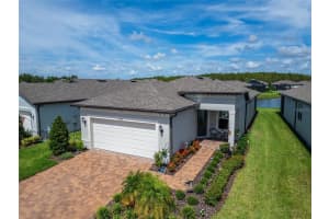 6110 SHOREBIRD BRANCH, LAND O LAKES, FL 34638 - MLS#MFRS5133670