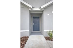15832 101ST CIRCLE, SUMMERFIELD, FL 34491 - MLS#MFRS5133800