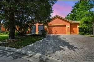 541 MILANO ROAD, KISSIMMEE, FL 34759 - MLS#MFRS5133852