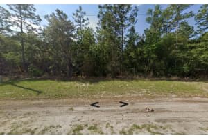 SW 77TH AVE RD, OCALA, FL 34481 - MLS#MFRS5134045