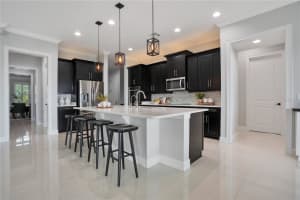 16653 BROADWATER AVENUE, WINTER GARDEN, FL 34787 Sold 10/23/25