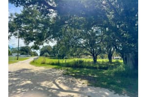 707 PINK APARTMENT ROAD, DAVENPORT, FL 33837 - MLS#MFRS5134132
