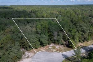 0000 174 STREET, OCALA, FL 34473 - MLS#MFRS5134238