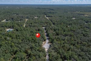 0000 174 STREET, OCALA, FL 34473 - MLS#MFRS5134238